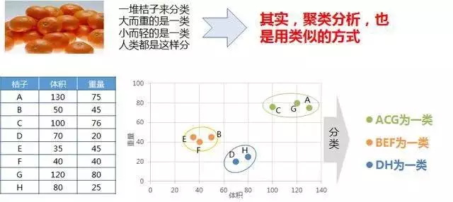 聚类分析案例