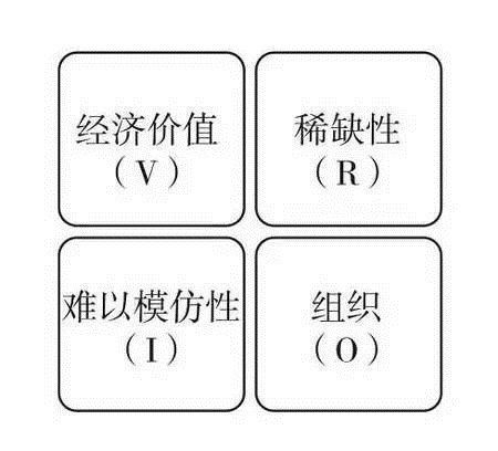 VRIO_商业分析_数据分析