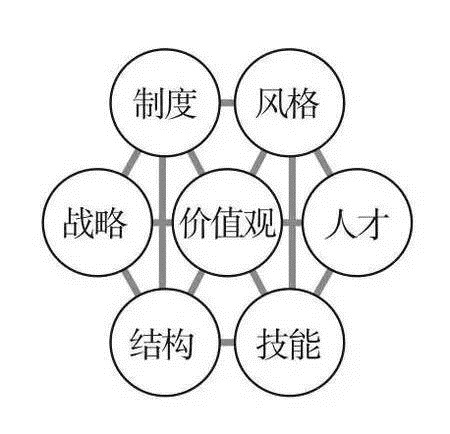 7S模型_商业分析_数据分析_经营分析_战略分析