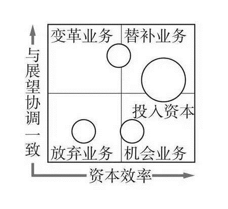 价值组合管理_商业分析_数据分析_经营分析_战略分析_业务分析