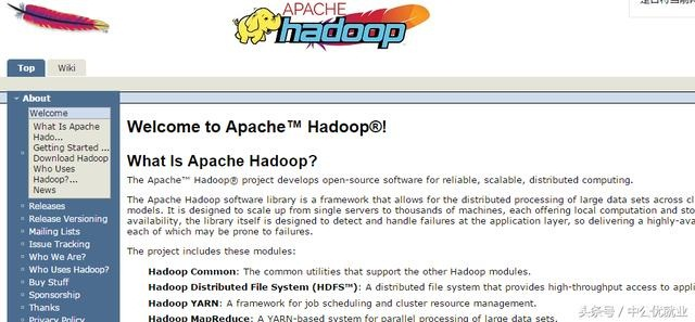 Hadoop_大数据_数据工具-数据分析