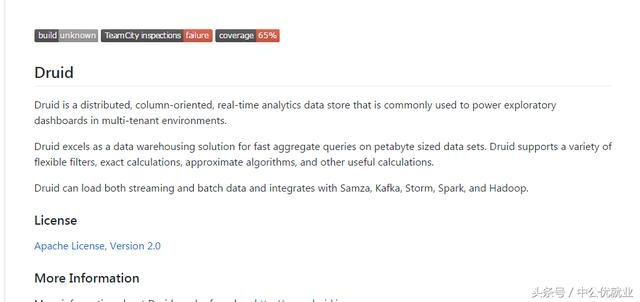 Druid__大数据_数据工具-数据分析