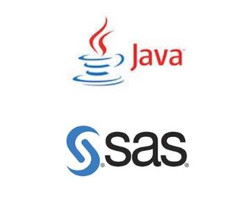 Java和SAS_大数据_编程语言