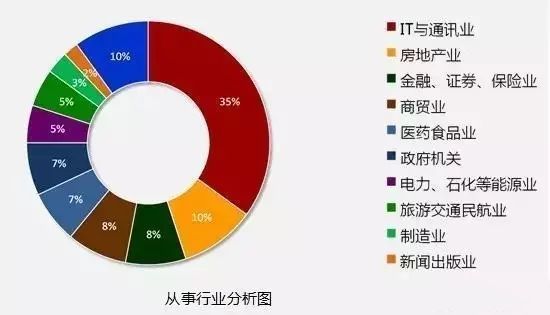 IT人员从事行业分析图_大数据_数据分析